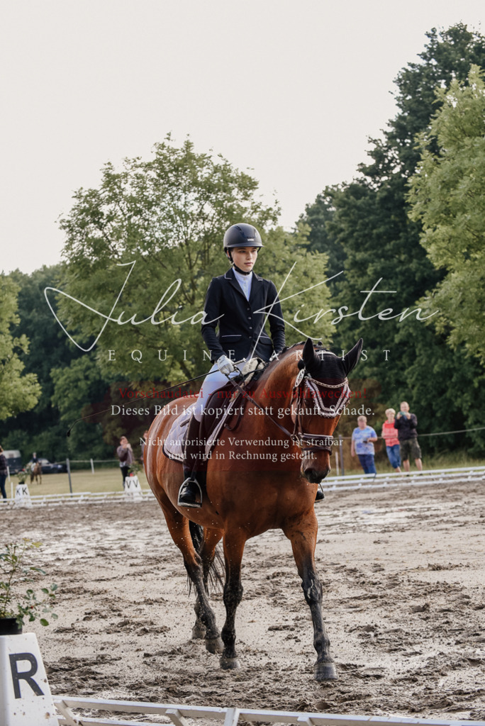DSC_8161 | Pferde- und Turnierfotografie in Westsachsen. Pferdeportraits, Auftragszeichnungen und intuitive Kunst.