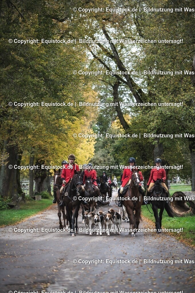 20241013_Jagd-Marbach_0489 | Foto: Thomas Hartig