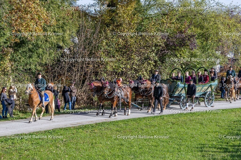 LBT24-927 | foto-bettina-krinner - Realisiert mit Pictrs.com
