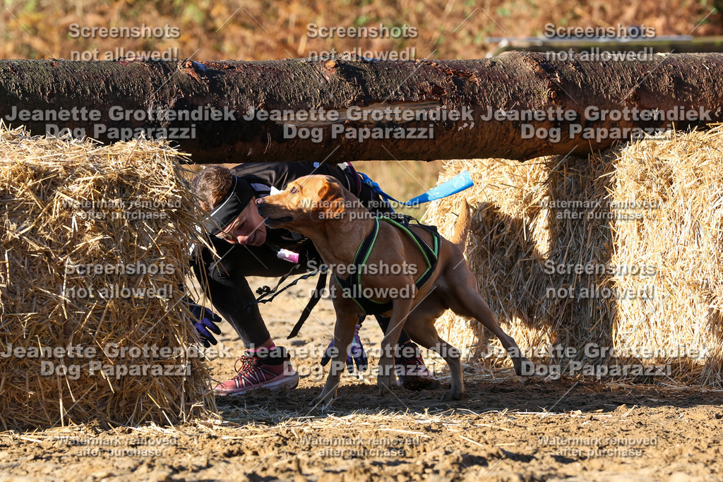 Dog Paparazzi - Strongdog 10-25-1236 | Dog Paparazzi Jeanette Grottendiek Fotografie & Videografie - Realisiert mit Pictrs.com