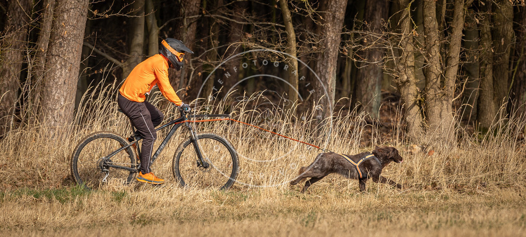 DV3A4542 | Hundefotografie, Tierfotograf, Pfotenfotografie, Fotoshooting Hund, Hunde Portrait, Hundesport, Hundeportraits, Heideshooting, Hunde, Sportfotograf, Hundefotograf, Turnierhundsport, THS,  - Realisiert mit Pictrs.com