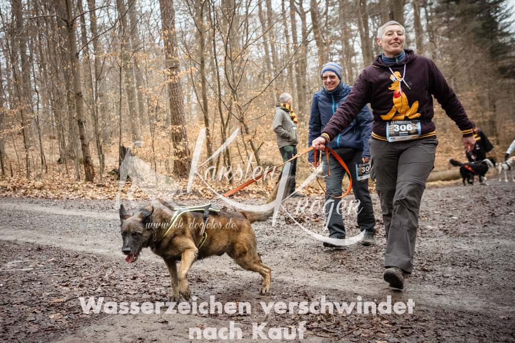 1154_ZZ92840 | kk-dogfotos