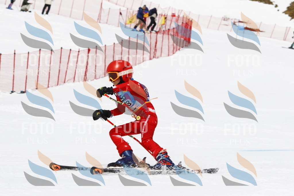 _U3G7228 | holidayphoto