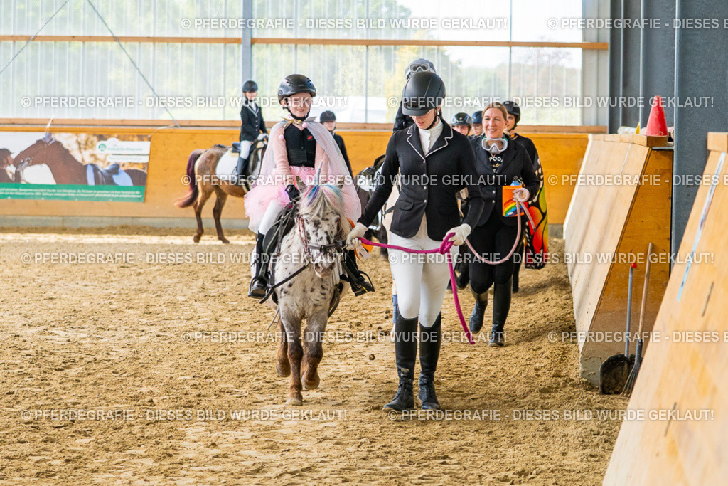 DSC00867 | Pferdegrafie