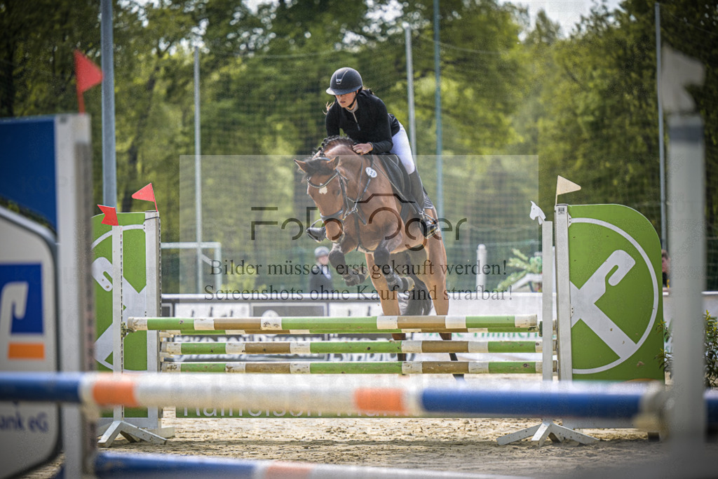 DOS_0460 | Entdecke hochwertige Reitturnierfotos von Foto Oger. Professionell, emotional und authentisch – jetzt Lieblingsmomente im Shop bestellen.Deutschlandweite Turnierfotografie. - Realisiert mit Pictrs.com