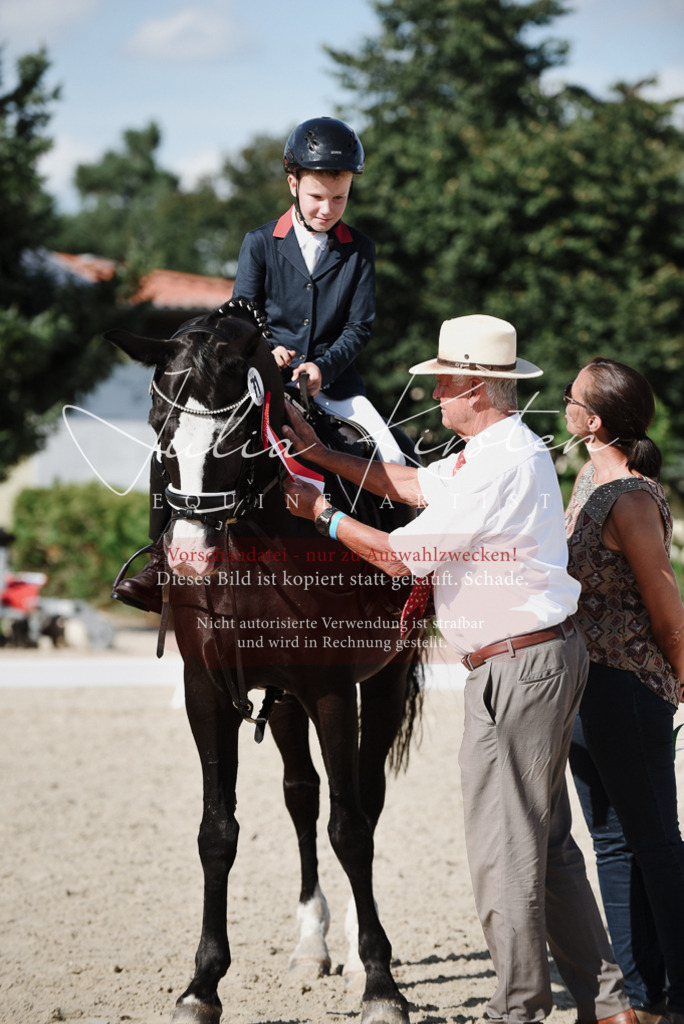 DSC_0211 | Pferde- und Turnierfotografie in Westsachsen. Pferdeportraits, Auftragszeichnungen und intuitive Kunst.