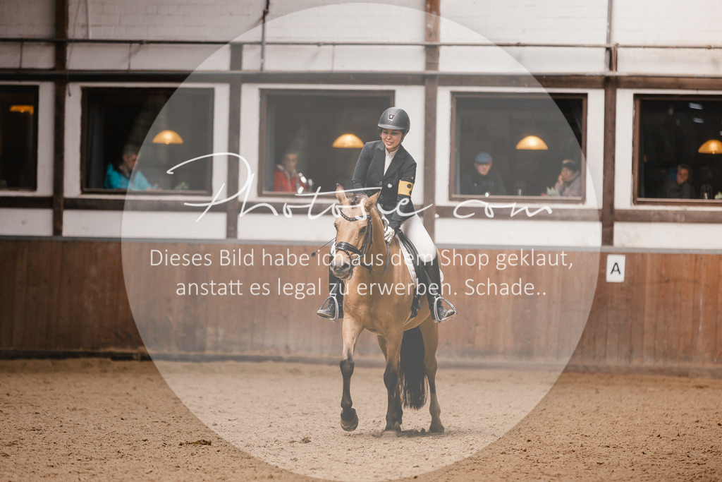 3I6A7608 | Stimmungsvolle Portraits und Reitsportfotografie im Ruhrgebiet und im Münsterland.

Pferdefotografie, Hundefotografie, Tierfotografie, Reportagen, Portraits von Tier und Mensch, Turnierfotografie in Bochum, Recklinghausen, Marl, Haltern am See, Dülmen.. - Realisiert mit Pictrs.com