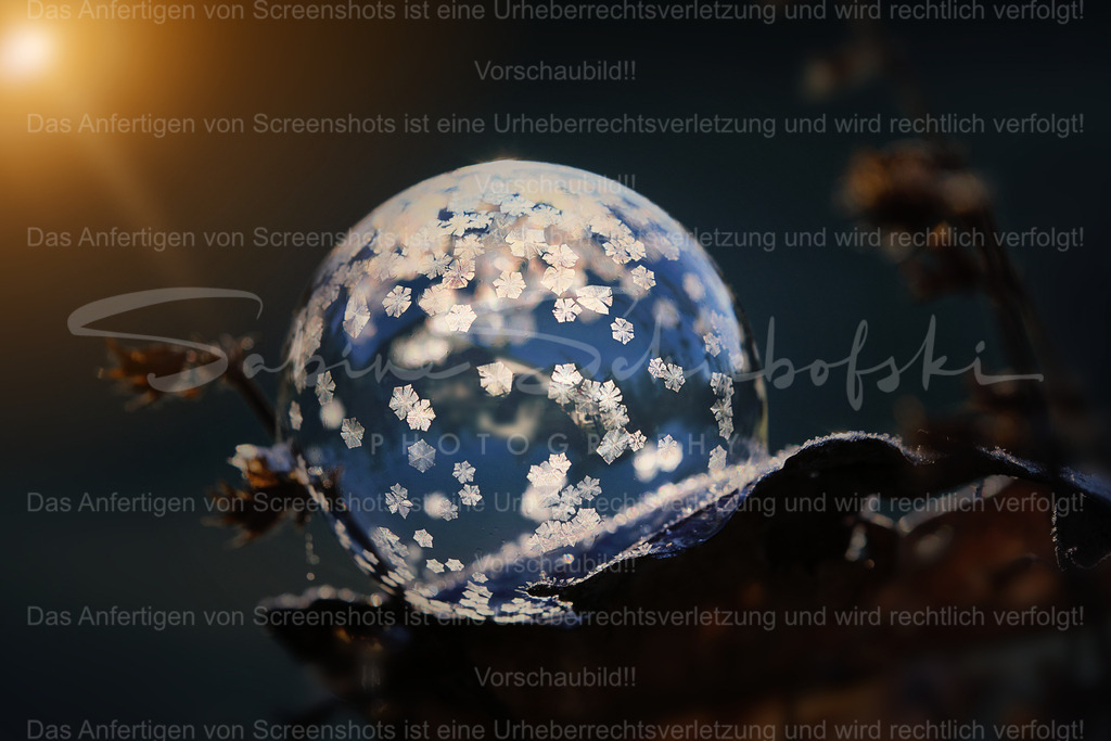 Frozen Bubble / gefrorene Seifenblase | People- und Tierfotografie, Imageaufnahmen, Veranstaltungsfotografie und Wandbilder aus der Natur ★ Made in Germany ✔️ Druck + Downloads ✔️ Naturfotografie in Top Qualität ★ schneller Versand, weltweite Lieferung! - Realisiert mit Pictrs.com