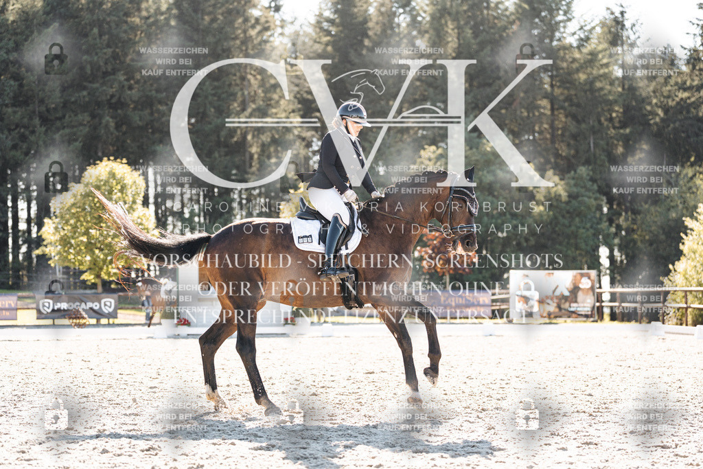 CK906167 | Turnierfotografie Pferdefotografie Trier Rheinland-Pfalz Pferdesport Reitsport Tierfotografie Sportfotografie Pferdevideo Pferdevideografie Equestrianvideography equestrianphotography  - Realisiert mit Pictrs.com