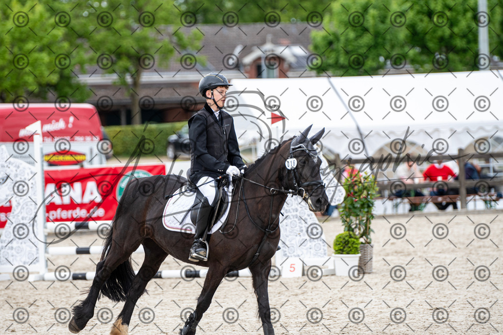 KPT_6409 | andre_photographic