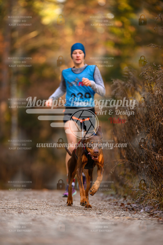 MompixPhotography_DM_AKDM_SO_2025_-40 | PayLife