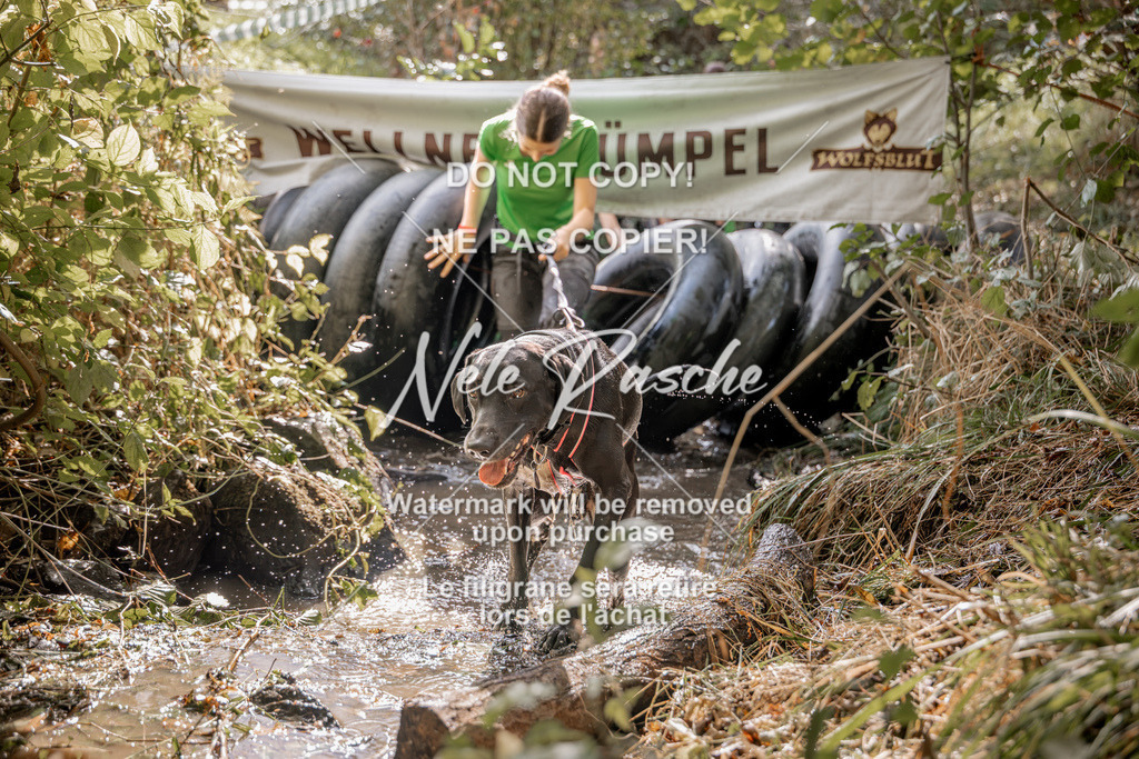 nelerasche_Hunsrück2026_Sa1400-1500_374 | nelerasche