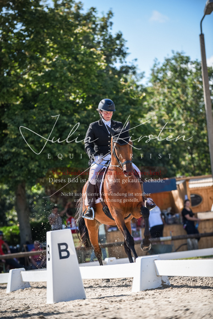 DSC_9645 | Pferde- und Turnierfotografie in Westsachsen. Pferdeportraits, Auftragszeichnungen und intuitive Kunst.