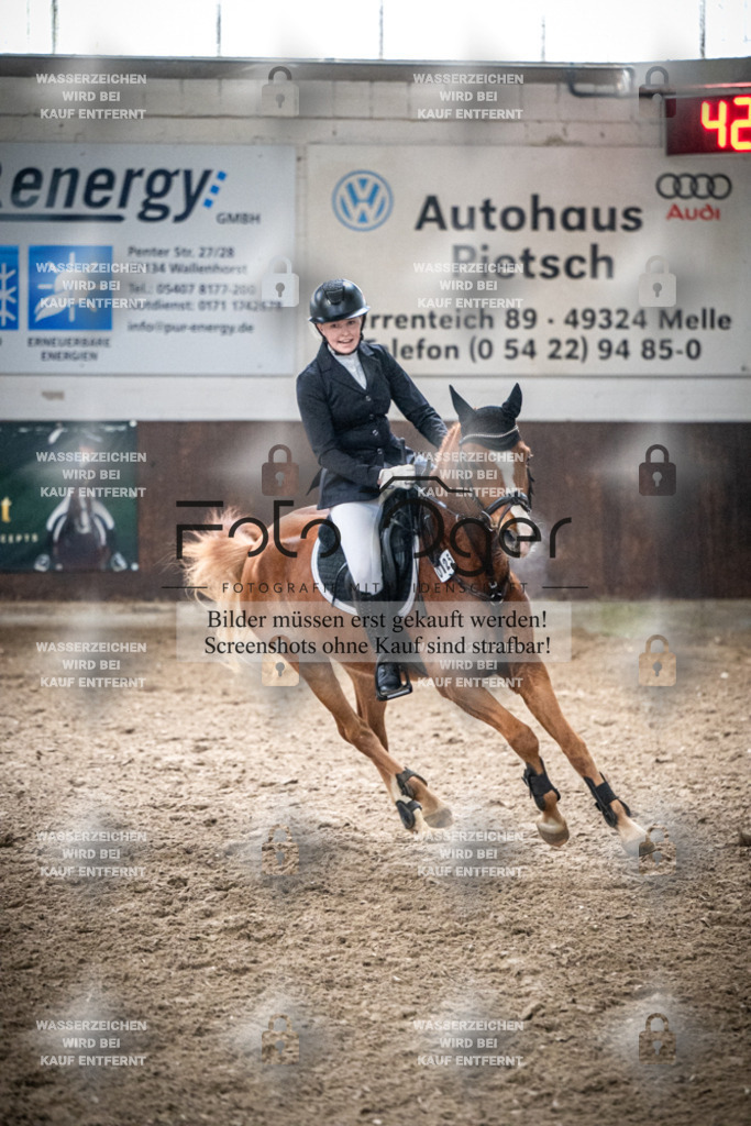 DOS_0557 | Entdecke hochwertige Reitturnierfotos von Foto Oger. Professionell, emotional und authentisch – jetzt Lieblingsmomente im Shop bestellen.Deutschlandweite Turnierfotografie. - Realisiert mit Pictrs.com