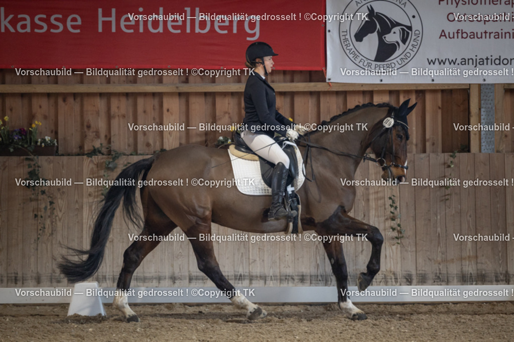 _D5A4684 | Emotionale Pferde- & People-Fotografie rund um Heidelberg, Leimen & Umgebung. Natürliche Fotos von Pferd, Mensch & Familie. Jetzt Termin sichern!