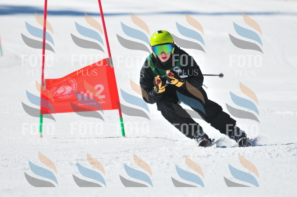 C3498 | holidayphoto