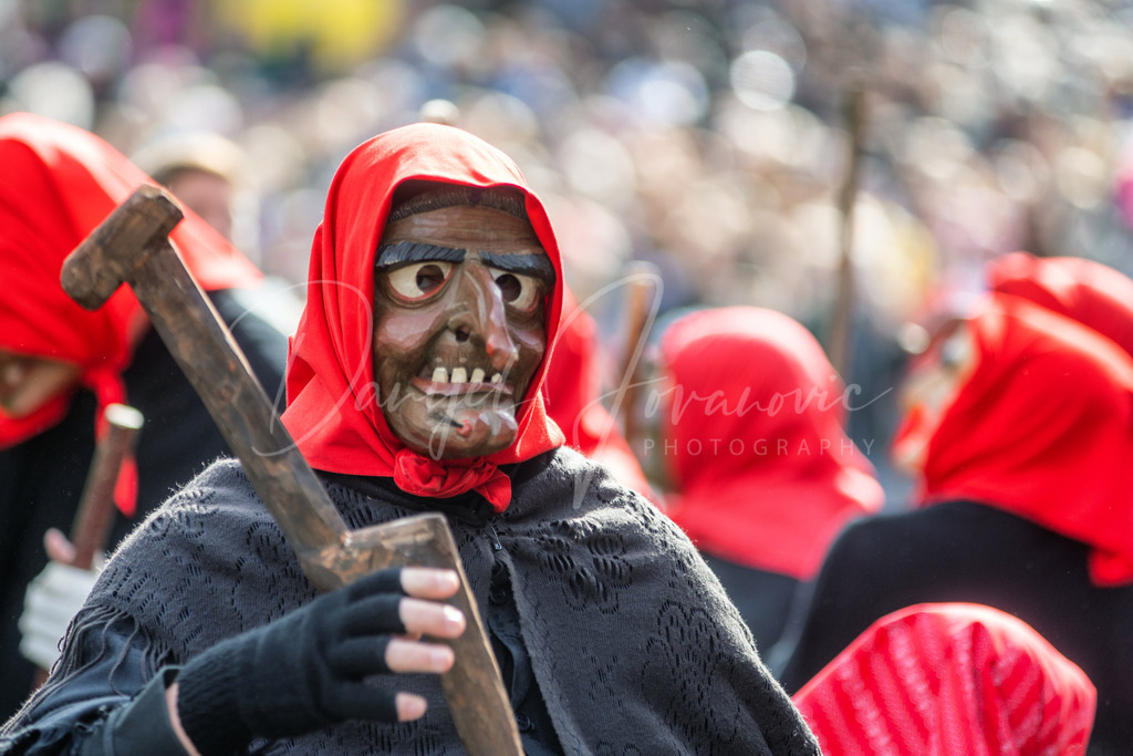 DSC08501 | Professioneller Fotograf - Bildbestellung online - Wandbilder vom Profi für ihr Zuhause, Büro, Praxis, Firma - große Auswahl an Materialien und Formaten, über 1400 regionale Motive