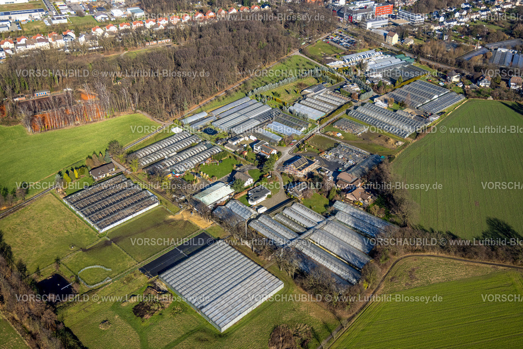 Luenen230204393 | Luftbild, Gartenbaubetriebe Iländerweg, Gewächshäuser, Brambauer, Lünen, Ruhrgebiet, Nordrhein-Westfalen, Deutschland