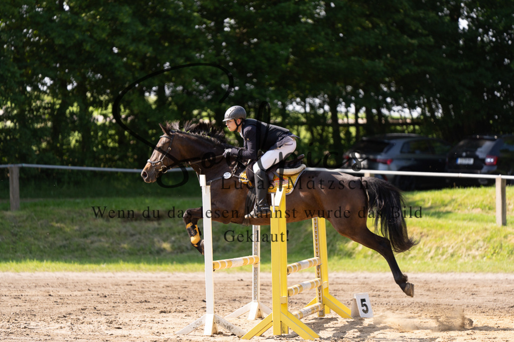 A7507284 | Turnier/Reitfotograf