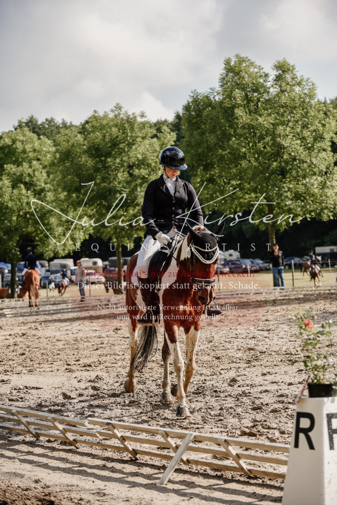 DSC_8759 | Pferde- und Turnierfotografie in Westsachsen. Pferdeportraits, Auftragszeichnungen und intuitive Kunst.