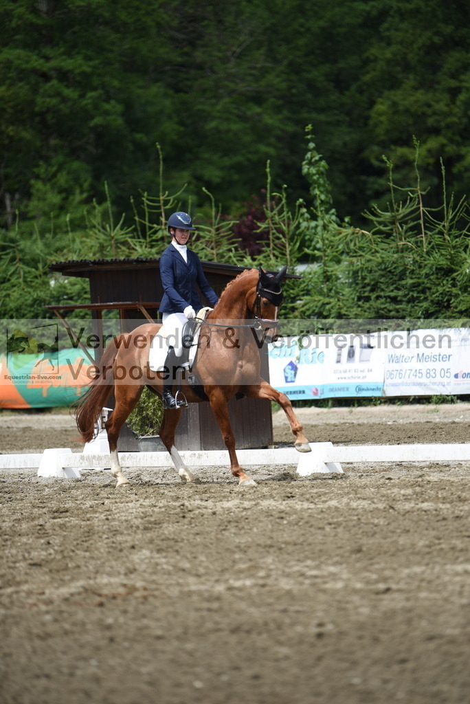 DSC_1008 | equestrian-live-com