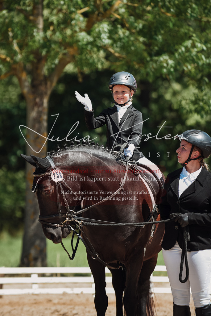 DSC_1896 | Pferde- und Turnierfotografie in Westsachsen. Pferdeportraits, Auftragszeichnungen und intuitive Kunst.