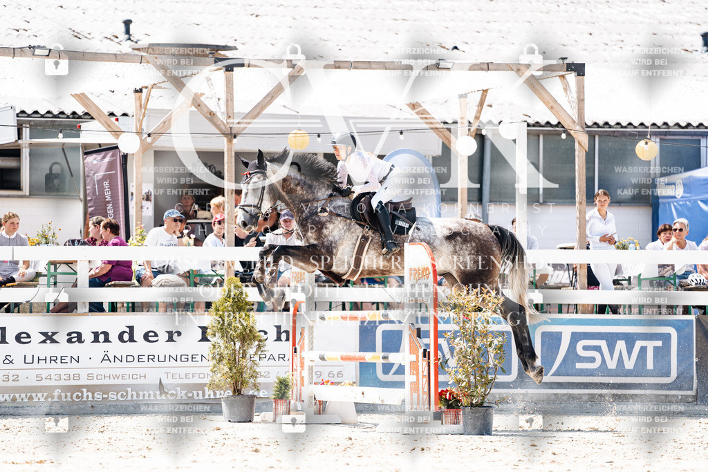 CK900012 | Turnierfotografie Pferdefotografie Trier Rheinland-Pfalz Pferdesport Reitsport Tierfotografie Sportfotografie Pferdevideo Pferdevideografie Equestrianvideography equestrianphotography  - Realisiert mit Pictrs.com