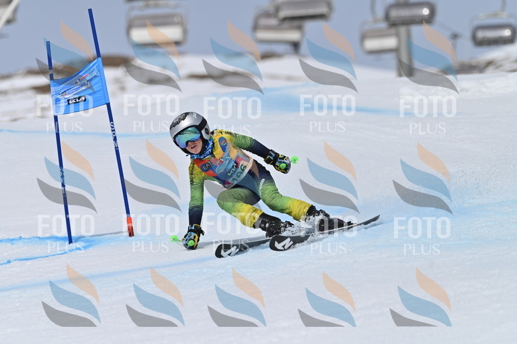 BGV_3766 | holidayphoto