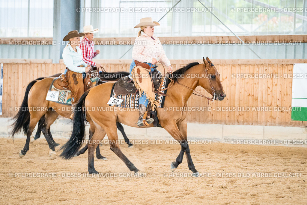 DSC00275 | Pferdegrafie