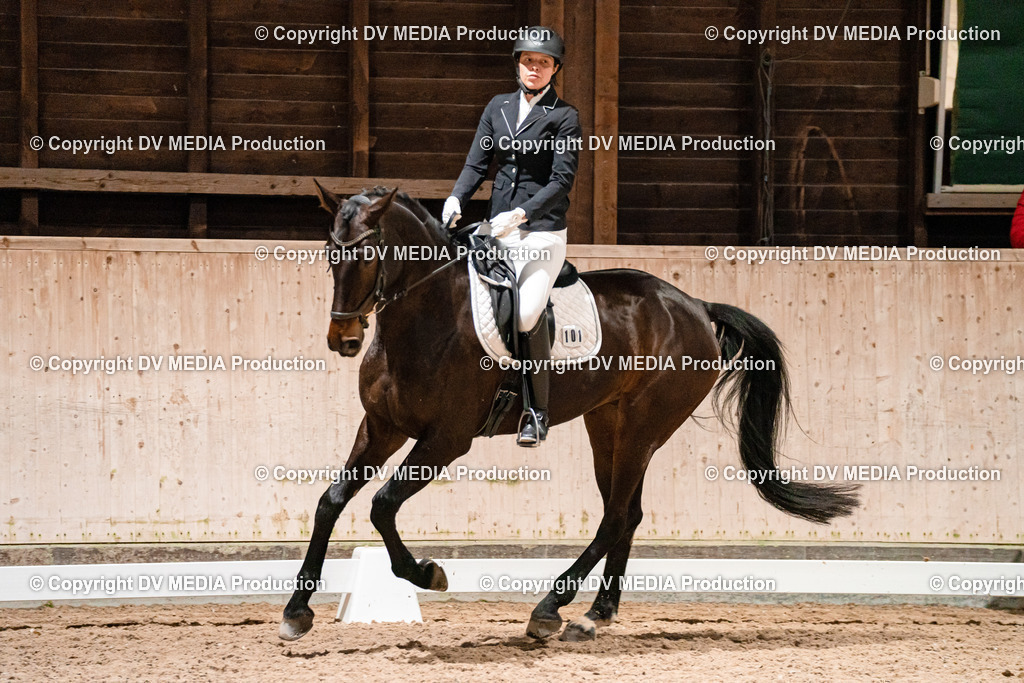 Dressur Tag 1 -423 | dv-media-shop - Realisiert mit Pictrs.com