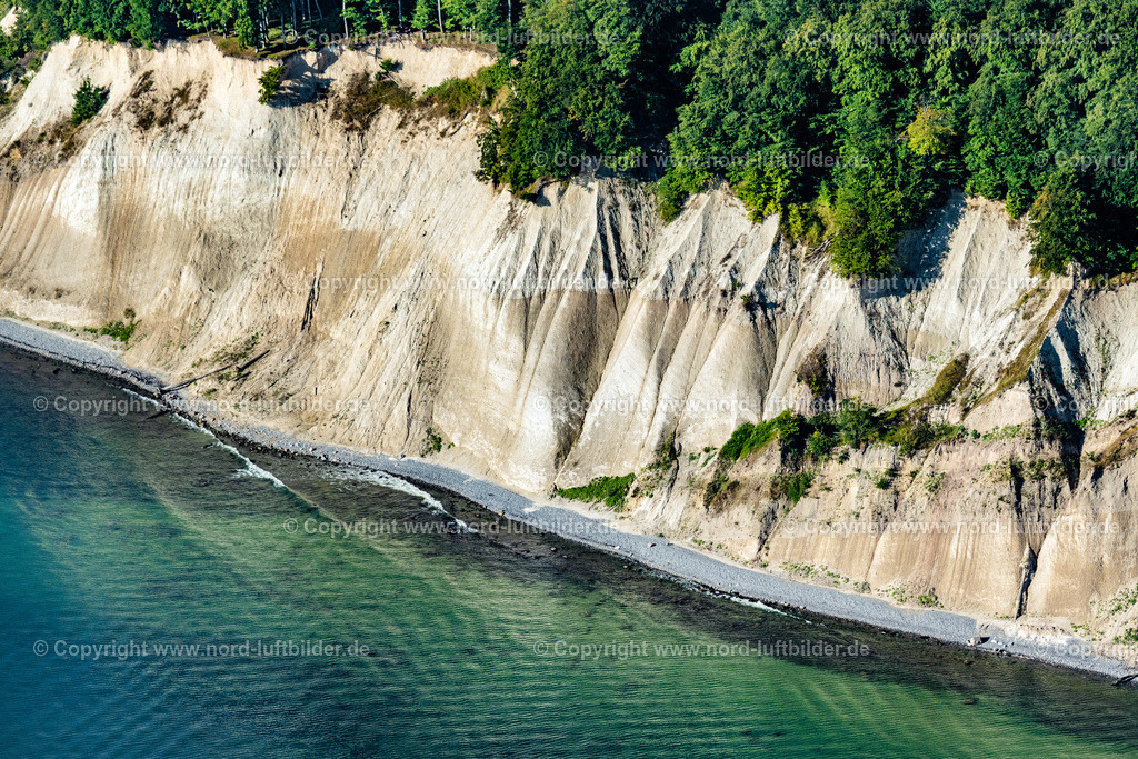 Lohme_Königsstuhl_Kreidefelsen_Rügen_ELS_4494100822 | STUBBENKAMMER 10.08.2022 Bewaldete Kreidefelsen - und Steilküsten- Landschaft im Nationalpark Jasmund an der Steilküste an der Ostsee in Stubbenkammer auf der Insel Rügen im Bundesland Mecklenburg-Vorpommern, Deutschland. // Wooded chalk cliffs and cliff landscape in the Jasmund National Park on the cliffs on the Baltic Sea in Stubbenkammer on the island of Ruegen in the state Mecklenburg-West Pomerania, Germany. Foto: Martin Elsen