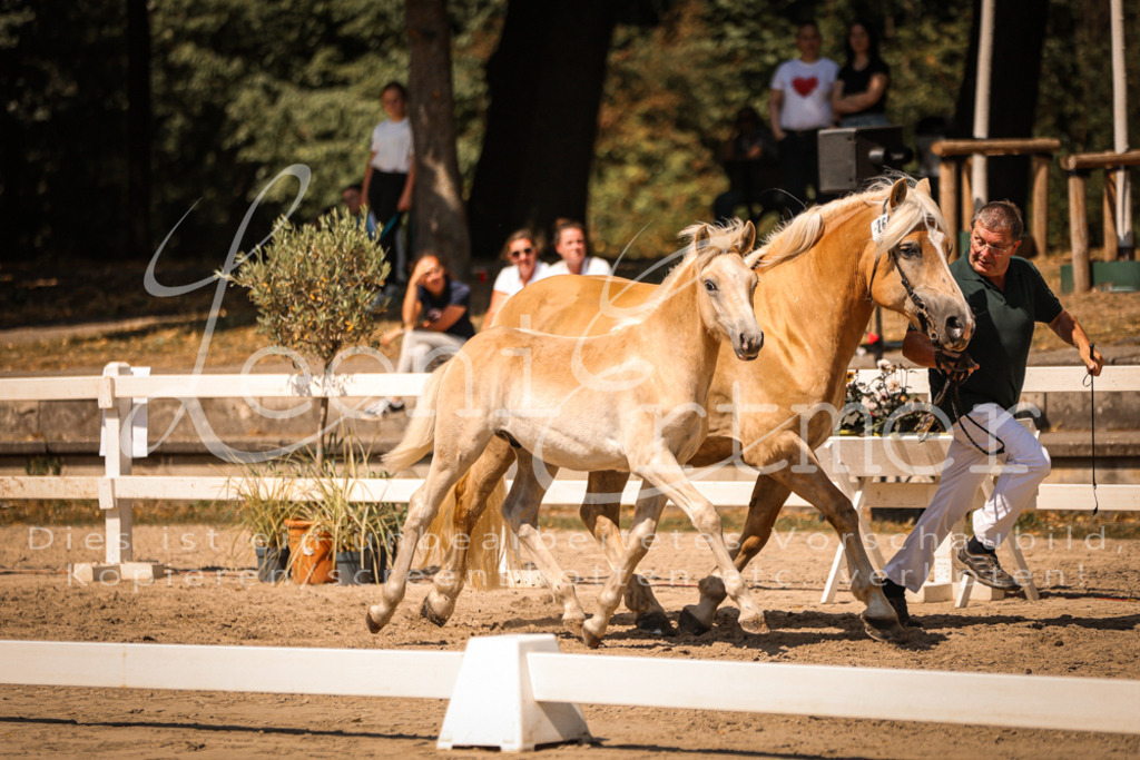 06.DoH00100 | Leoni Ertmer Photography - Realisiert mit Pictrs.com