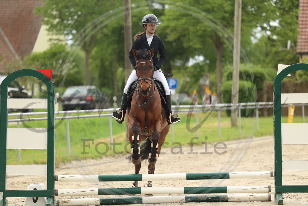 994A8468 | sabrinanicolaifotografie - Realisiert mit Pictrs.com