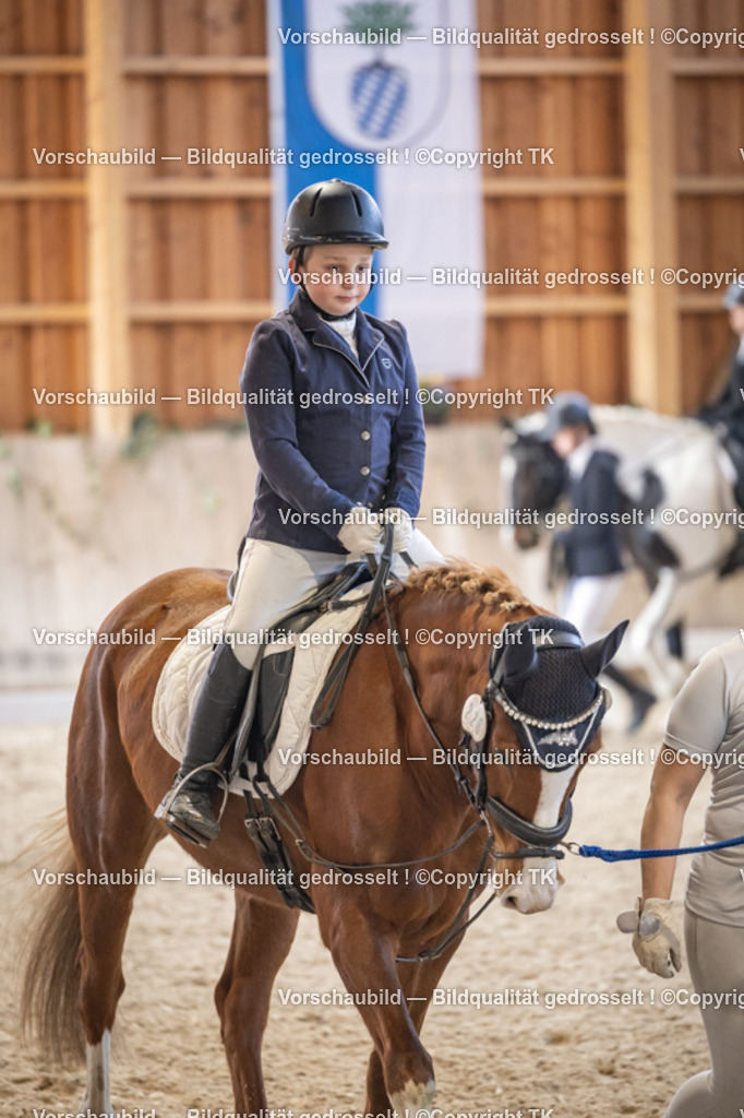 _D5A5287 | Emotionale Pferde- & People-Fotografie rund um Heidelberg, Leimen & Umgebung. Natürliche Fotos von Pferd, Mensch & Familie. Jetzt Termin sichern!