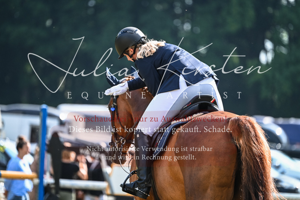 DSC_7767 | Pferde- und Turnierfotografie in Westsachsen. Pferdeportraits, Auftragszeichnungen und intuitive Kunst.