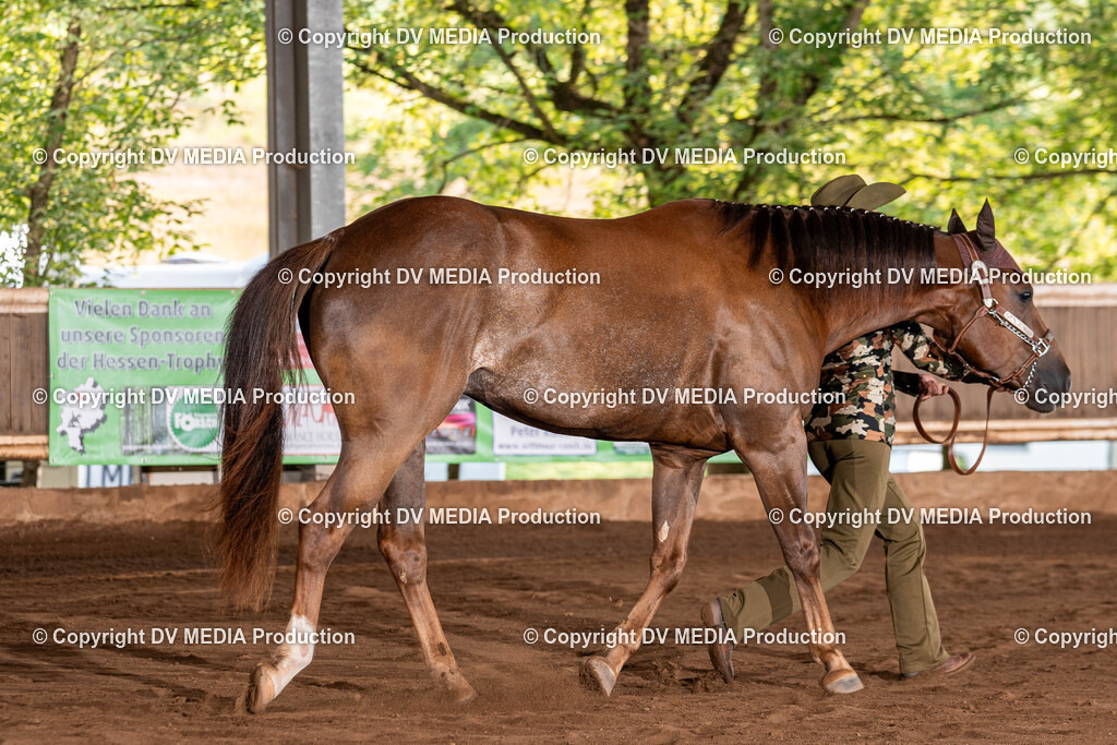 Erbach Tag 3-166 | dv-media-shop - Realisiert mit Pictrs.com