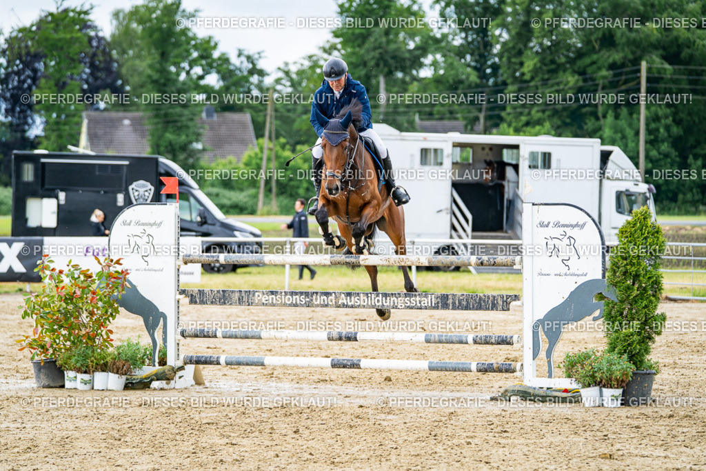 DSC04153 | Pferdegrafie