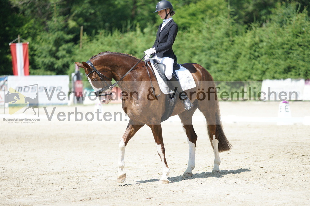 DSC01646 | equestrian-live-com
