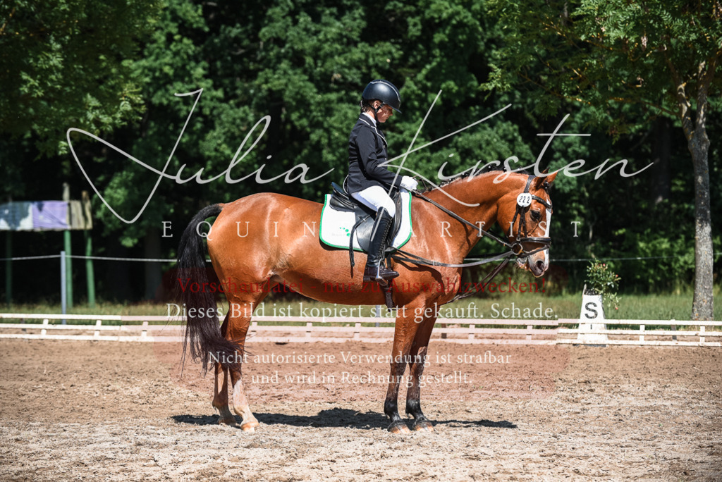DSC_3462 | Pferde- und Turnierfotografie in Westsachsen. Pferdeportraits, Auftragszeichnungen und intuitive Kunst.