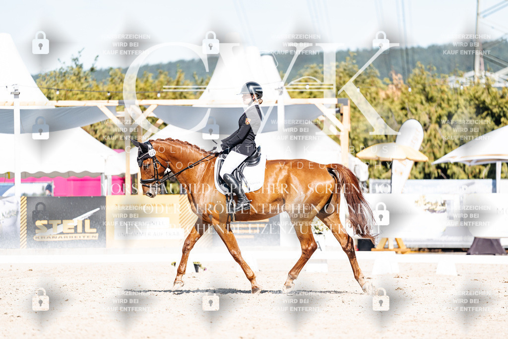 CK908670 | Turnierfotografie Pferdefotografie Trier Rheinland-Pfalz Pferdesport Reitsport Tierfotografie Sportfotografie Pferdevideo Pferdevideografie Equestrianvideography equestrianphotography  - Realisiert mit Pictrs.com