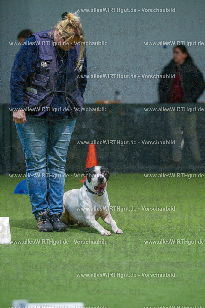 7R507765 | Professionelle Tierfotografie in Mönchengladbach von Daniel Wirth (allesWIRTHgut). Liebevolle & natürliche Bilder von Hunden & Katzen für unvergessliche Erinnerungen.