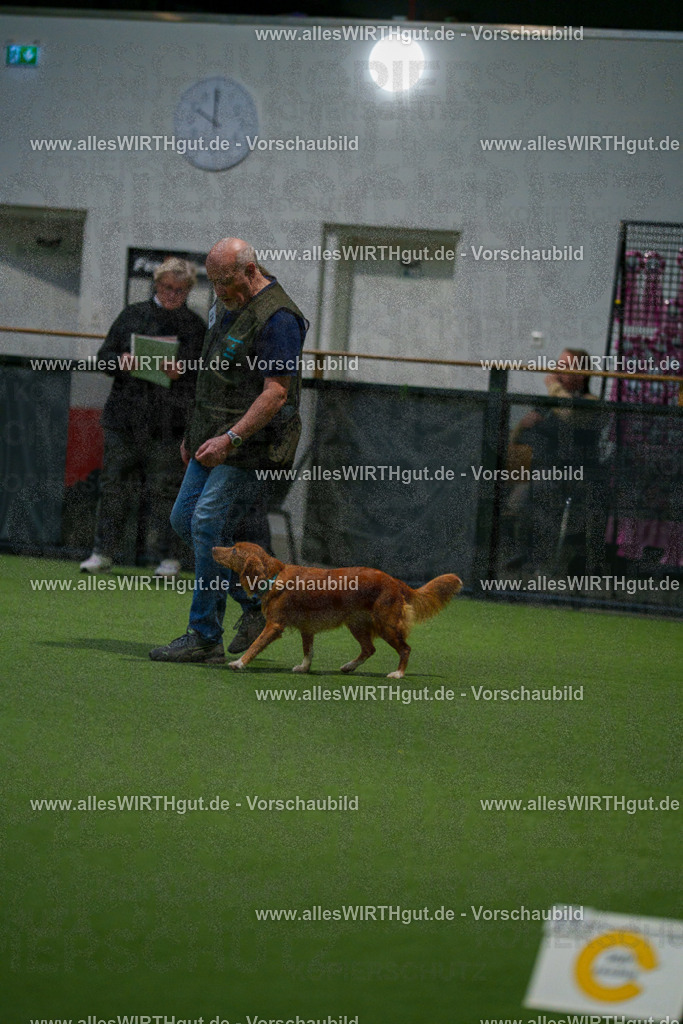 7R504554 | Professionelle Tierfotografie in Mönchengladbach von Daniel Wirth (allesWIRTHgut). Liebevolle & natürliche Bilder von Hunden & Katzen für unvergessliche Erinnerungen.