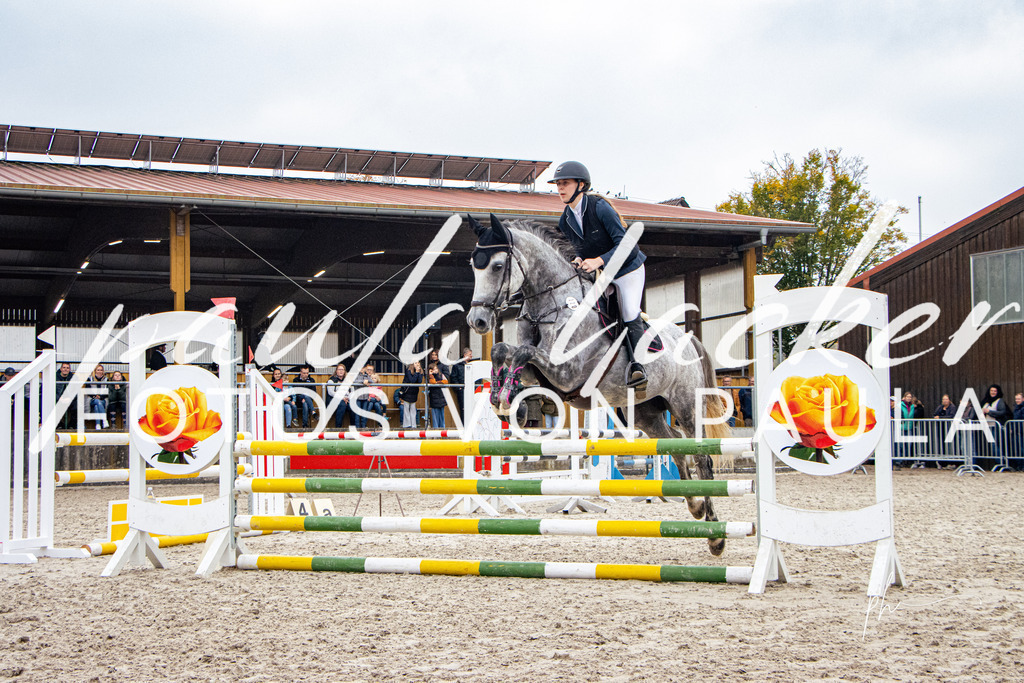 IMG_4207 | Erleben Sie dynamische Sport- und emotionale Tierfotografie in Süddeutschland mit Fotos von Paula. Spezialisiert auf Pferde- und Hundefotografie sowie Sportevents. Kontaktieren Sie mich für einzigartige und ausdrucksstarke Bilder Ihrer besonderen Momente. - Realisiert mit Pictrs.com