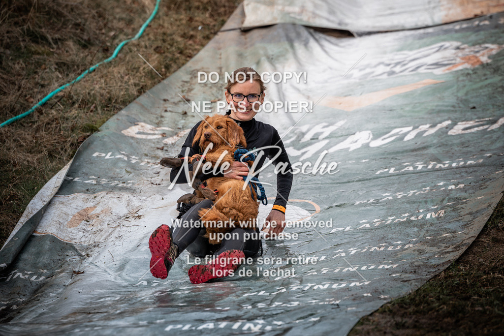 nelerasche_1330-1400_291 | nelerasche
