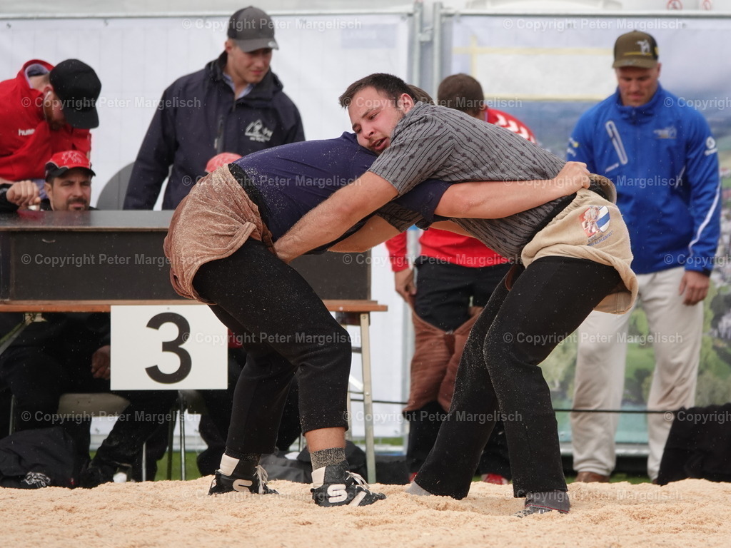 DSC06318 | Schwingen - Realisiert mit Pictrs.com