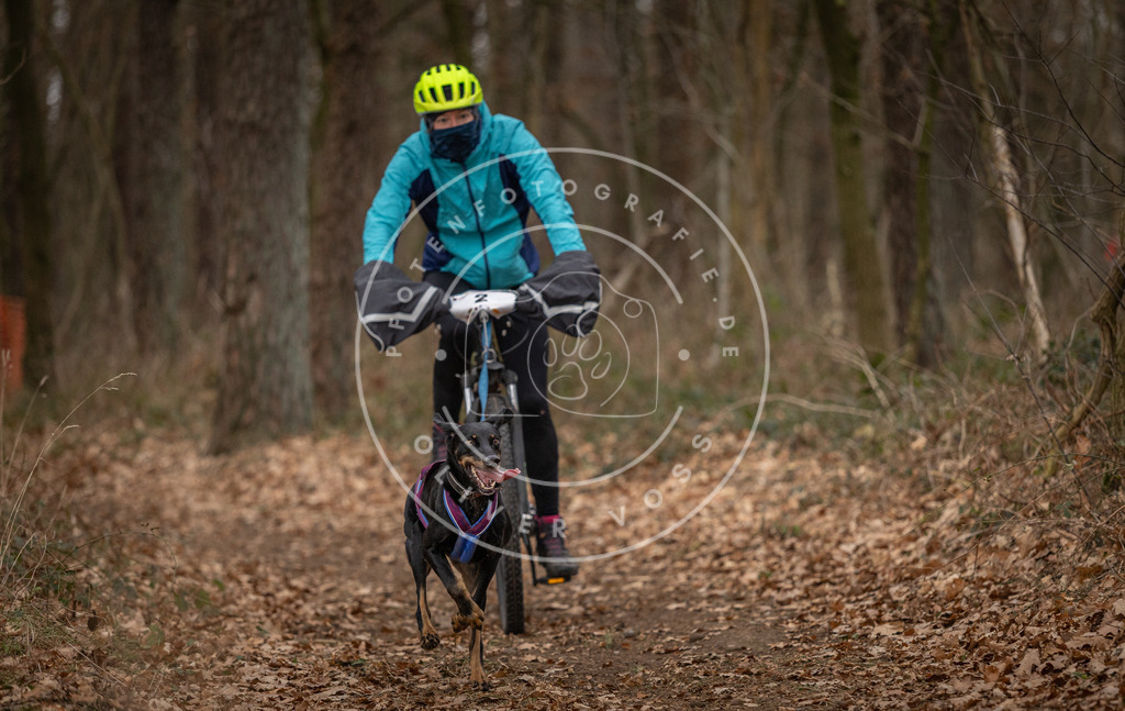 Pfotenfotografie_DV3A7110 | Hundefotografie, Tierfotograf, Pfotenfotografie, Fotoshooting Hund, Hunde Portrait, Hundesport, Hundeportraits, Heideshooting, Hunde, Sportfotograf, Hundefotograf, Turnierhundsport, THS,  - Realisiert mit Pictrs.com