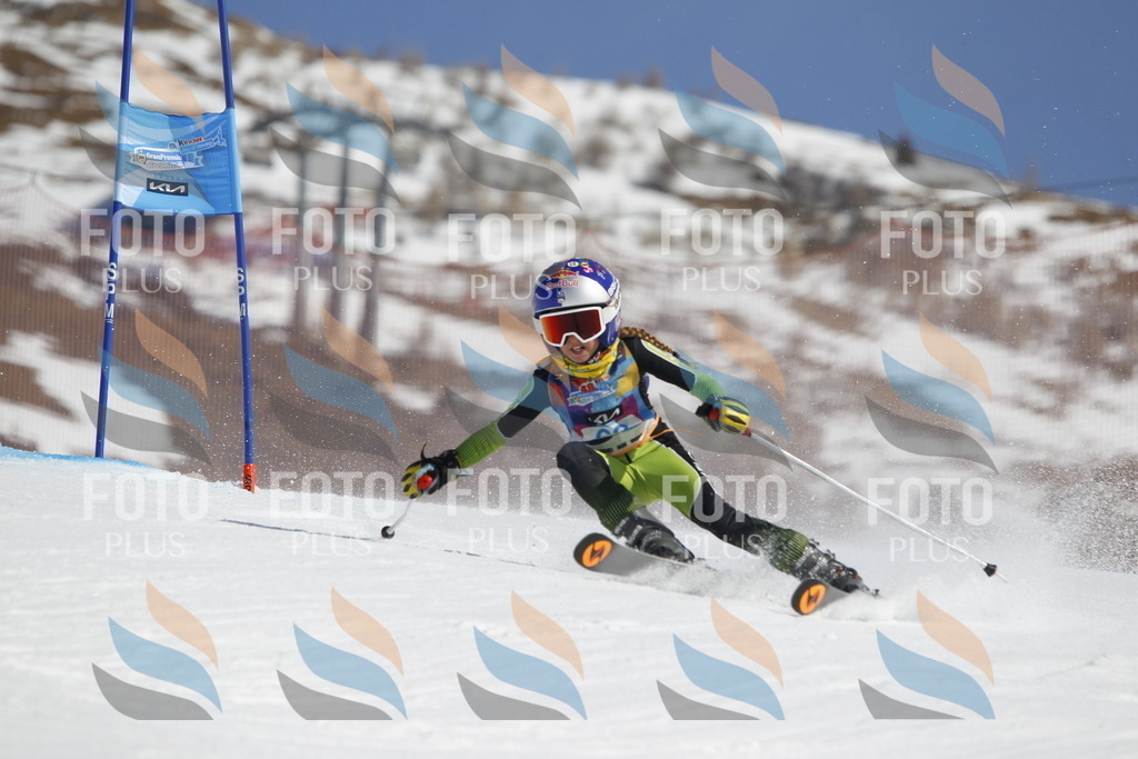 _U3G9668 | holidayphoto