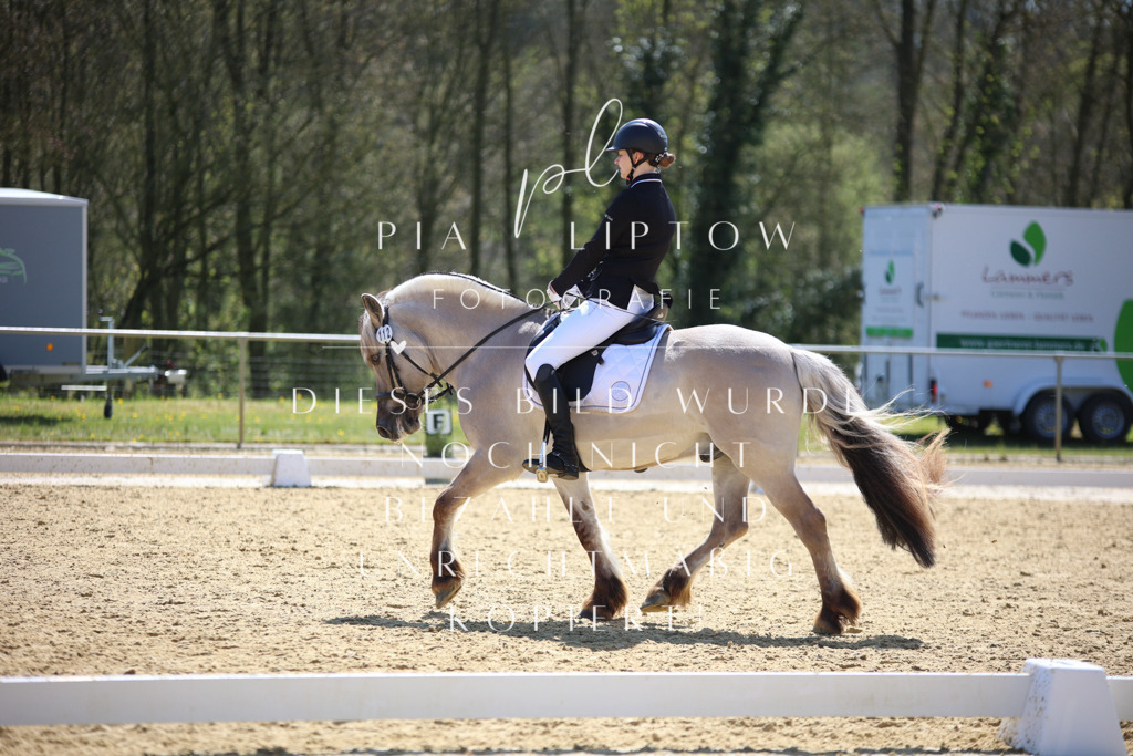 IMGT1986 | pl-fotografie