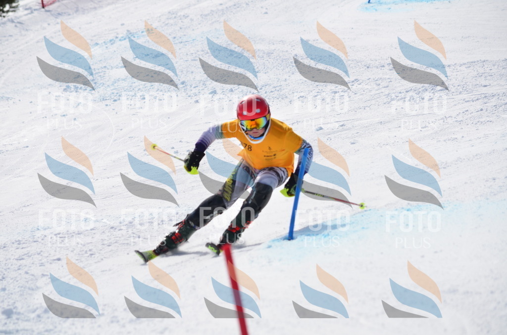 C9897 | holidayphoto