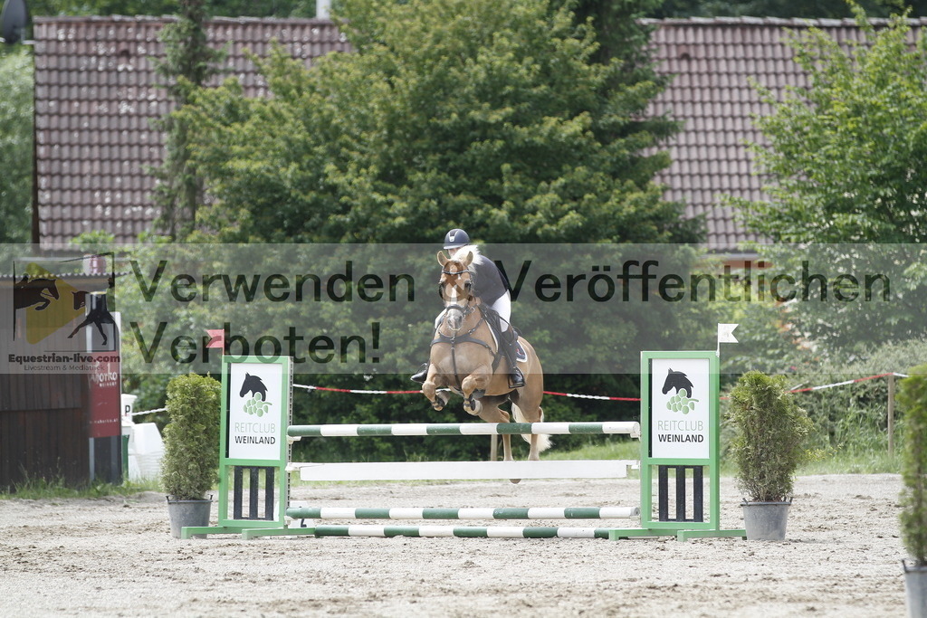 _MG_6172 | equestrian-live-com